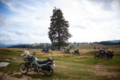 IMG_3521